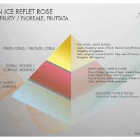 Аромат JASMINE ICE REFLET ROSE (ЖАСМИН  И ЛЕДЯНАЯ РОЗА)