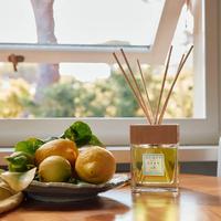 Аромат для дома Limonaia di Sant’Andrea, 2500 мл