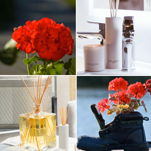 fragrancelife_oil