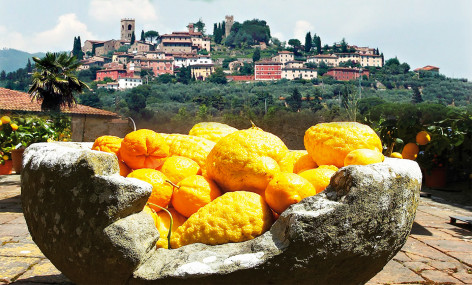 VCastello di Uzzano