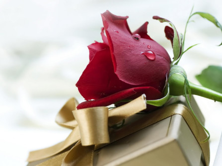 fragrancelife-happy-birthday-to-you