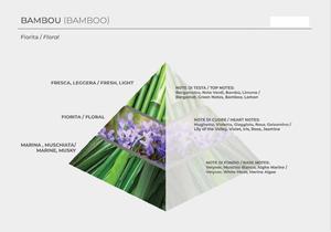 BAMBOU (БАМБУК) 5000 мл